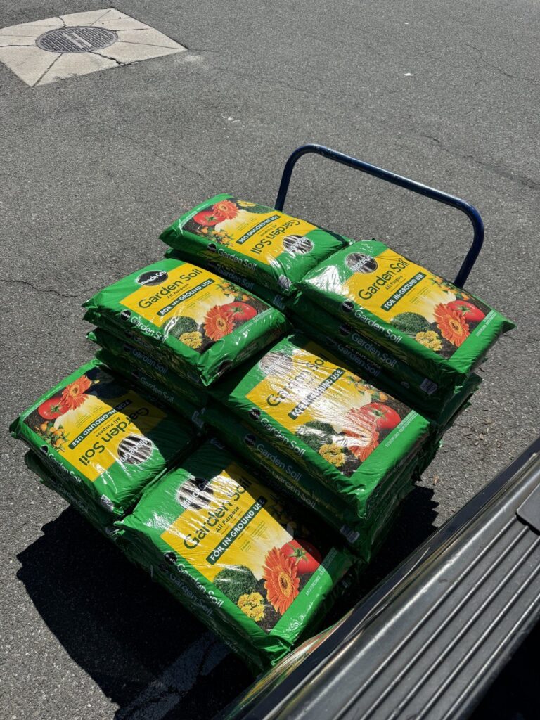 photo_14_2024-07-19_19-09-29