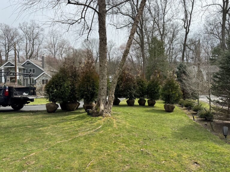 photo_17_2024-07-19_19-09-29