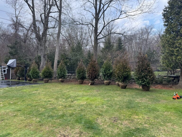 photo_18_2024-07-19_19-09-29