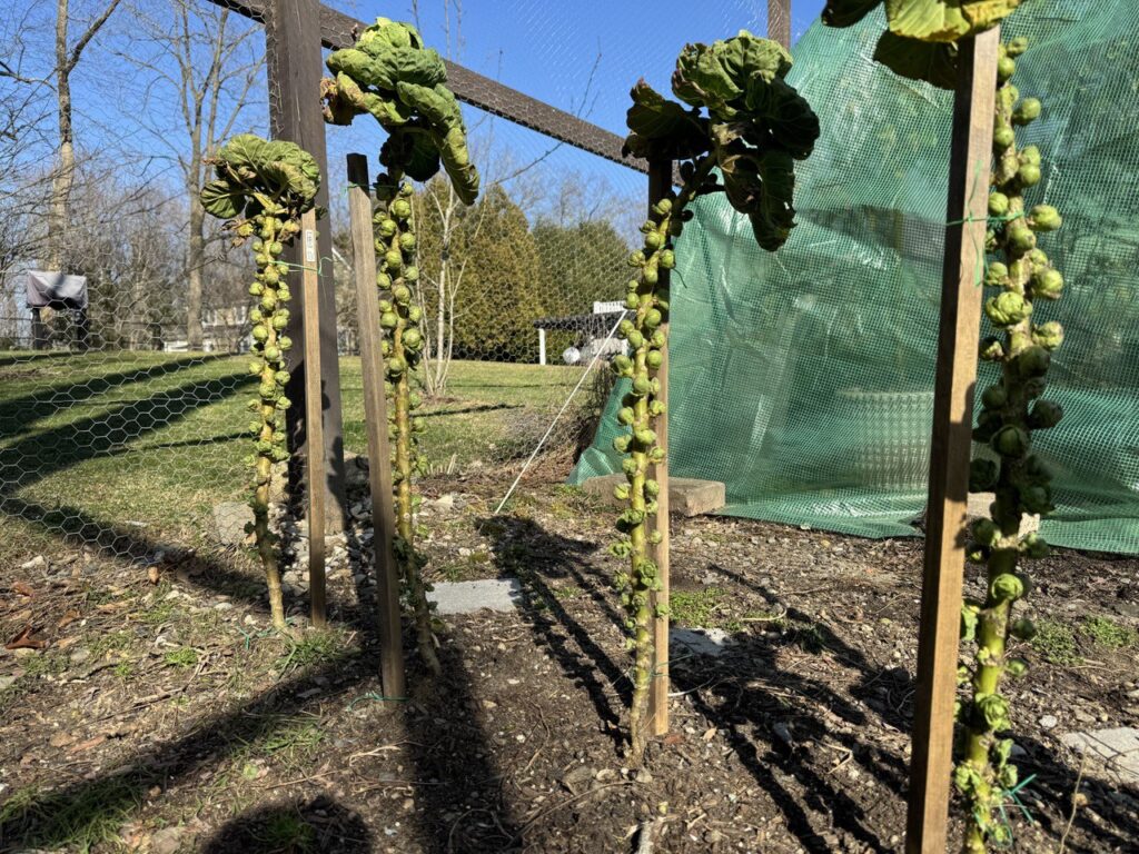 photo_2024-08-01_15-15-19