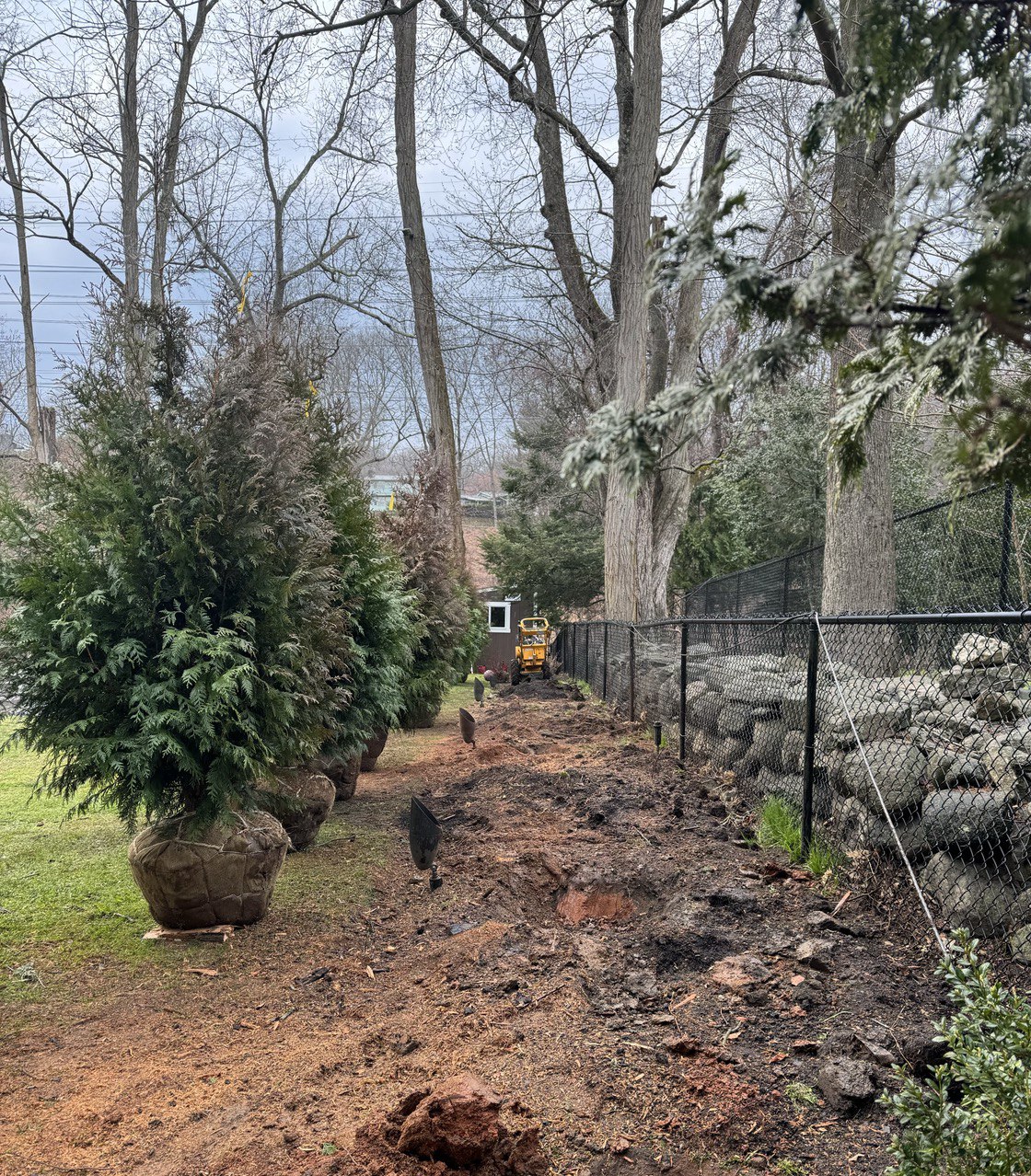 photo_21_2024-07-19_19-09-04