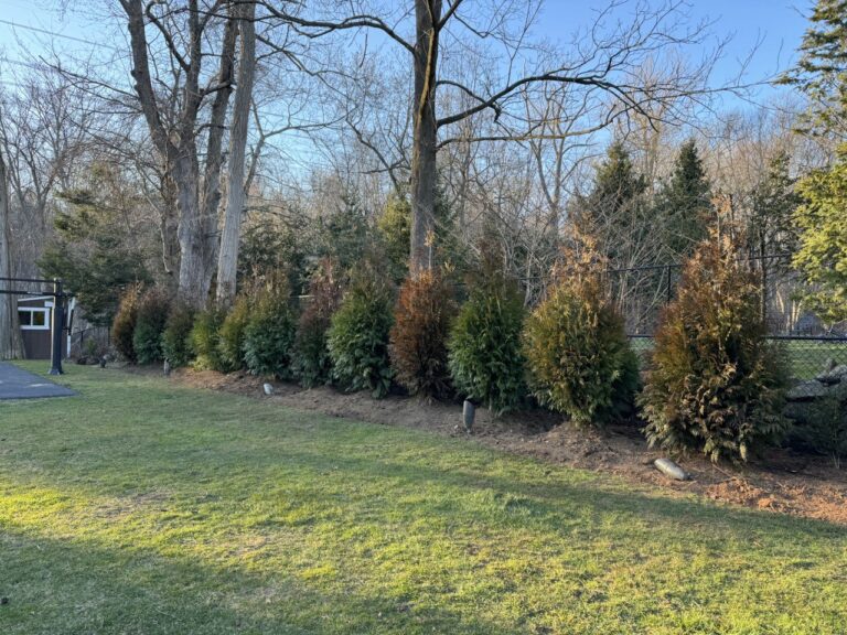 photo_22_2024-07-19_19-09-04