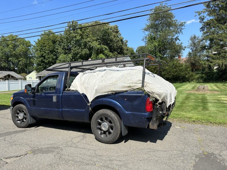 photo_3_2024-07-19_19-09-29