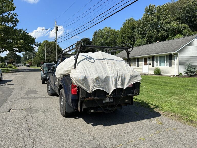 photo_9_2024-07-19_19-09-29