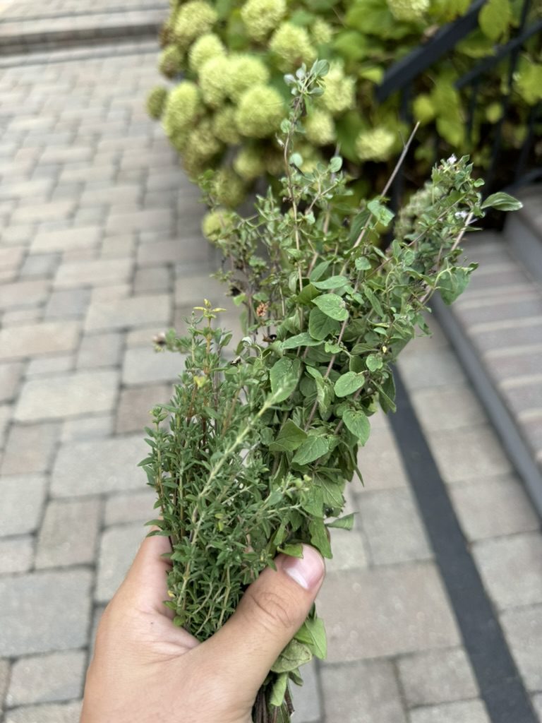 003D9676-1001-4275-83AF-595E890940D9_1_105_c