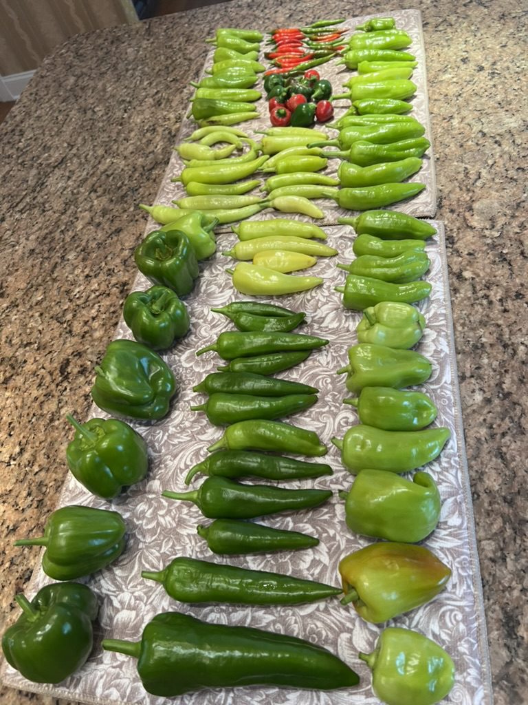 0CB7EB3C-550C-4A03-AF8F-F14595163F42_1_105_c