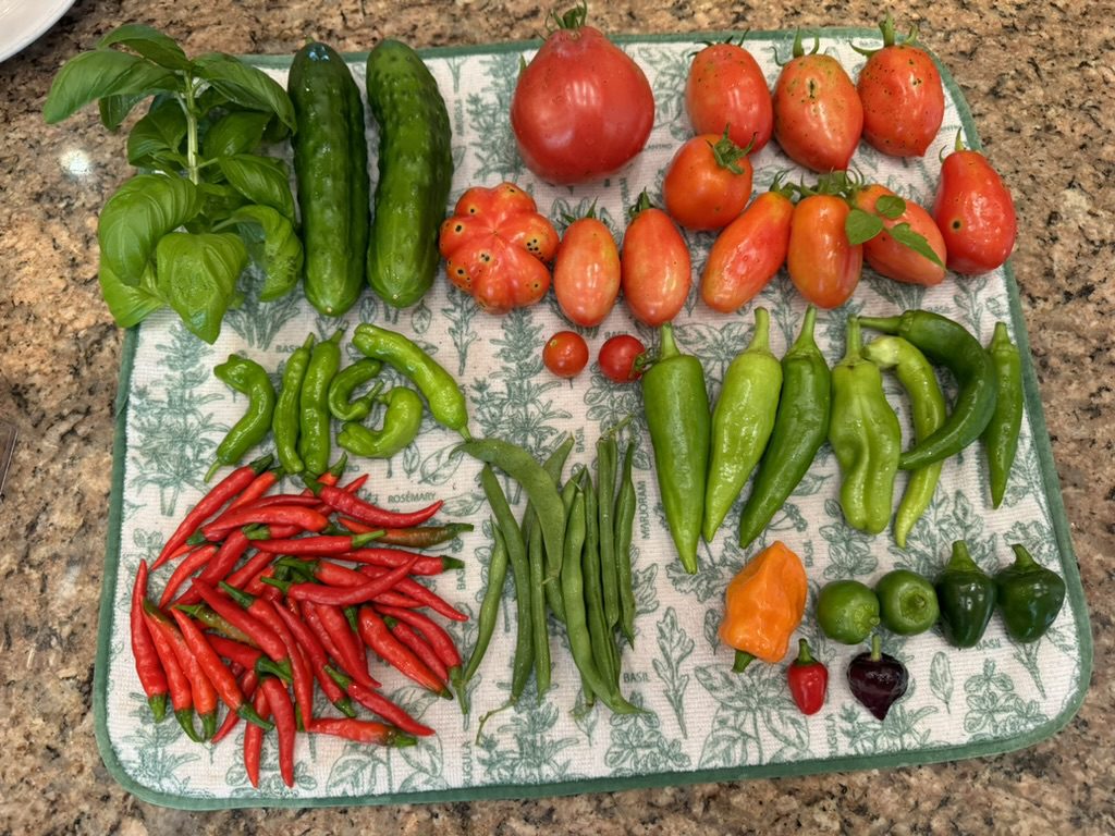 1843570F-904D-4978-9FDC-49916541DB8D_1_105_c