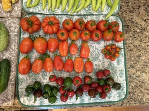 19A2379E-E94A-4636-B418-0D1D559FFC6D_4_5005_c