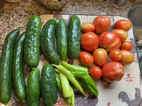 2142C033-289C-4C45-B551-48ED490C72AC_4_5005_c