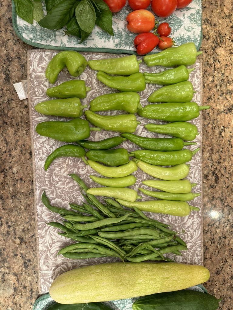 2CAE522F-78B6-47D0-8977-FC5183DFE7FC_1_105_c