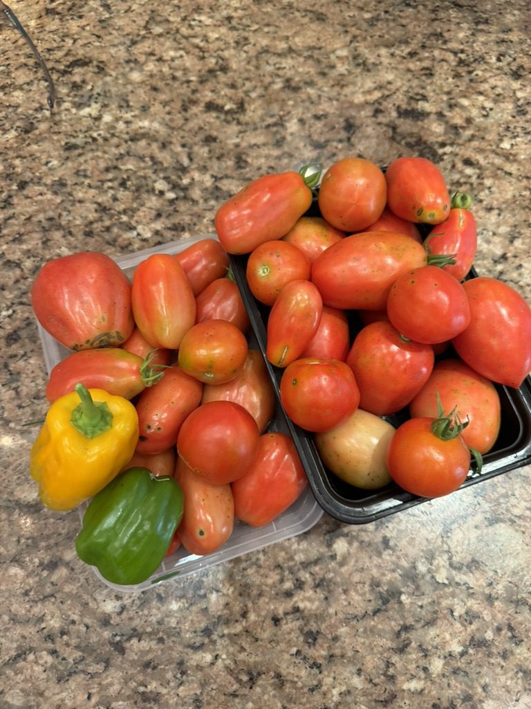 3657464E-C929-43C0-8DEE-1AE8204986F8_1_105_c