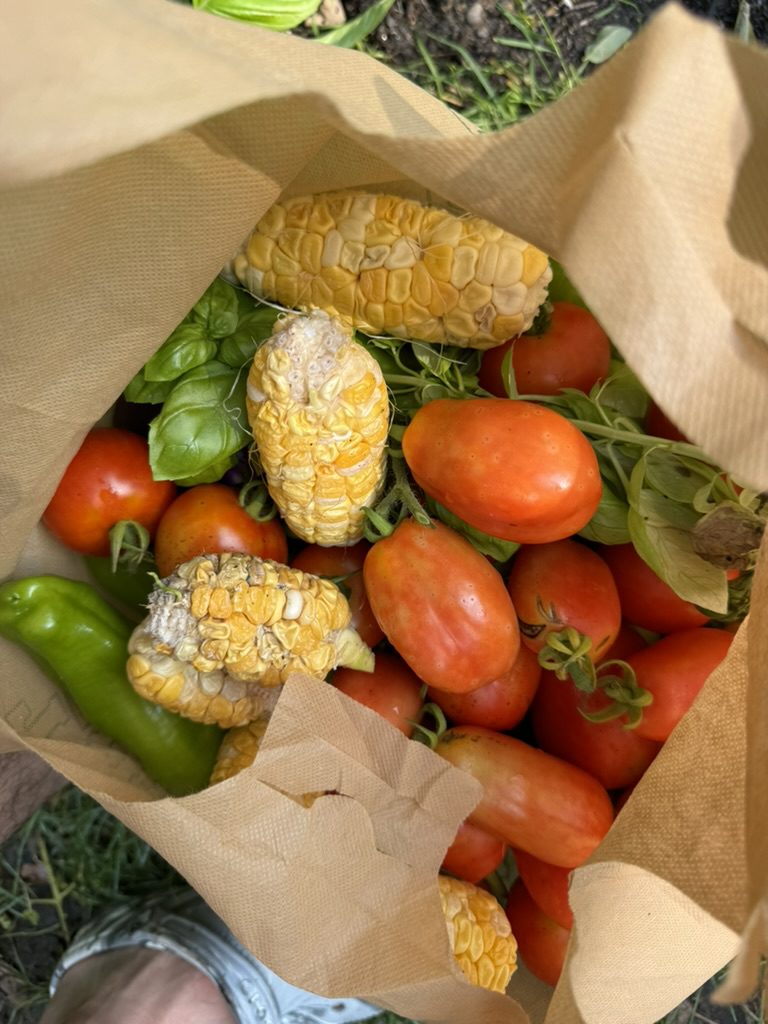 3892DA3D-5C7B-4504-A3BA-6C42B1506282_1_105_c