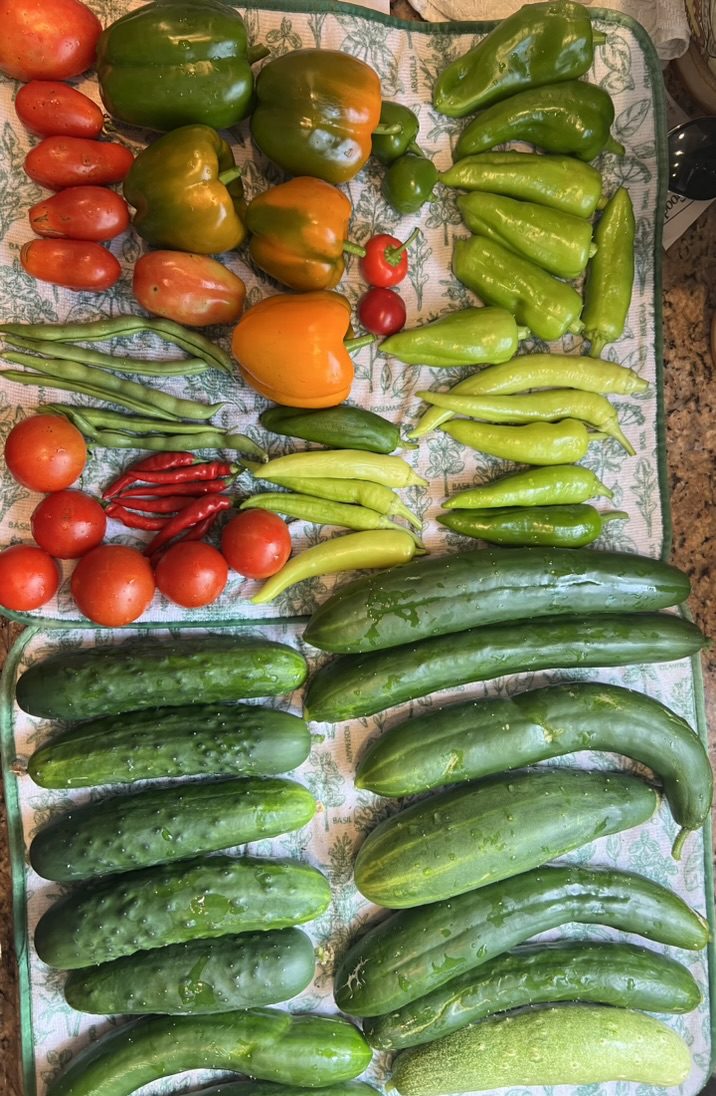 38FA26ED-81D0-4A8D-8620-854485F327F6_1_105_c