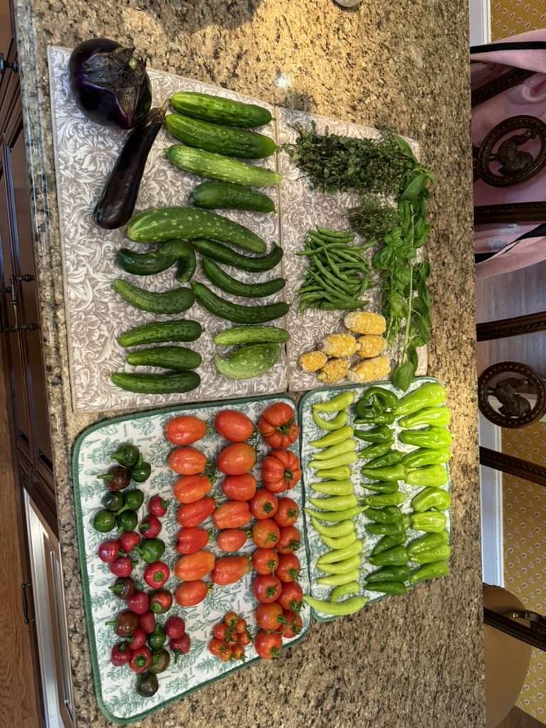 3B243C7C-9B08-48E6-8BB7-A0070E90132C_1_105_c