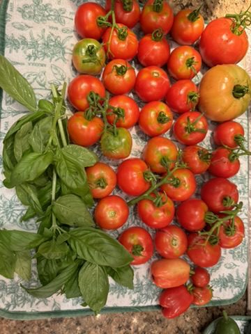 4390A1DF-9D1F-41D0-9635-86EAB8C7FC22_4_5005_c