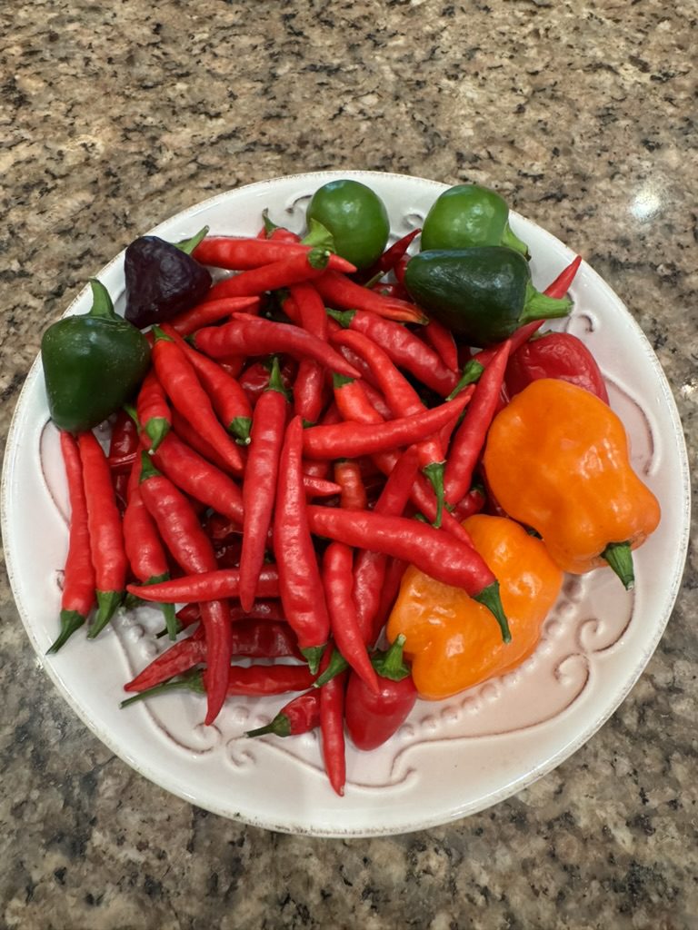 43EDE666-3471-4D8B-82D0-767E0FFCF233_1_105_c