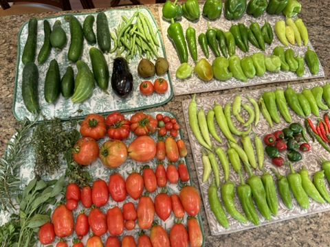 492E6F50-79F3-42E3-A69D-224FA235706E_4_5005_c