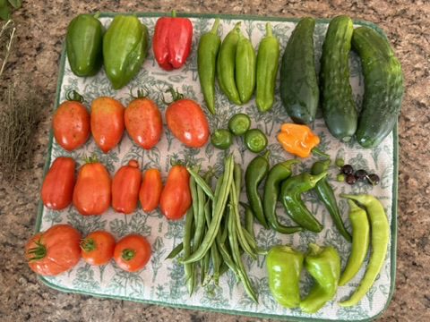 49FC540E-41AB-49A7-91E2-2D3560520BE7_4_5005_c