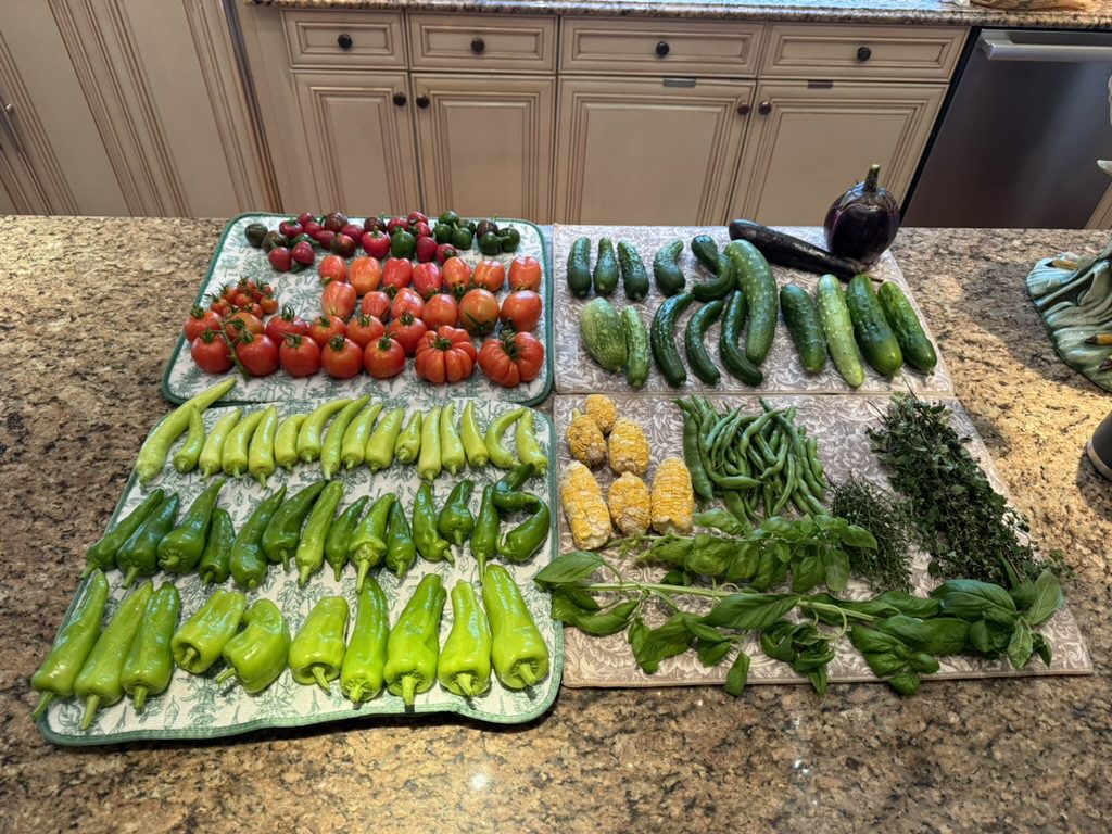 4E23920F-C11F-466A-8CC7-66A308E28B9B_1_105_c