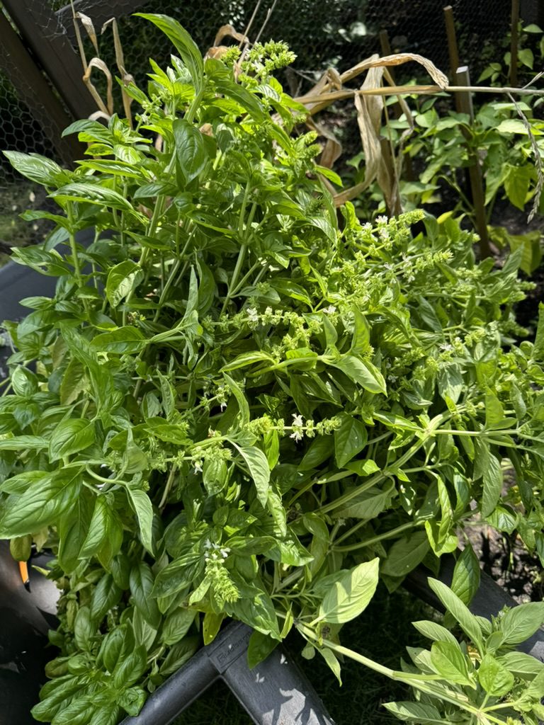 4E643E8A-C95B-4CDD-8E9F-BC0D0E18E93A_1_105_c