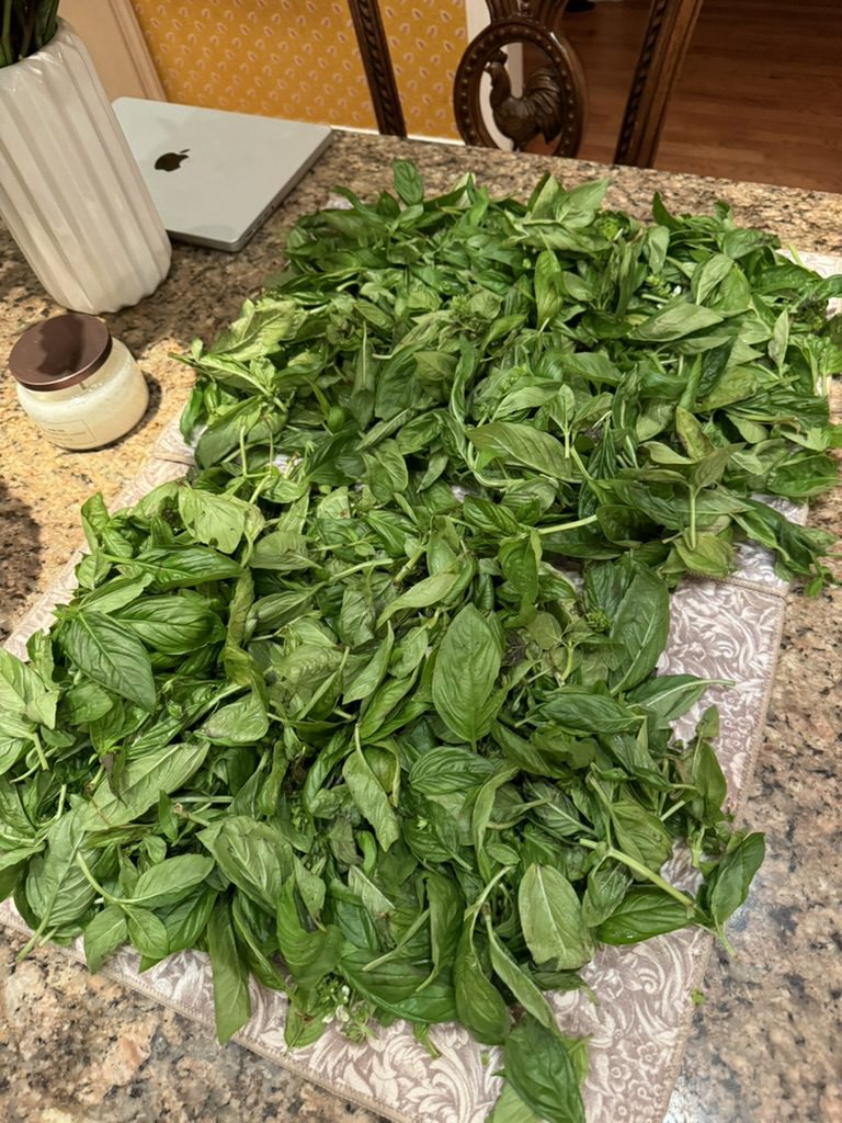 4F7160DA-4C88-4262-8DB9-D580E5A7A7A6_1_105_c