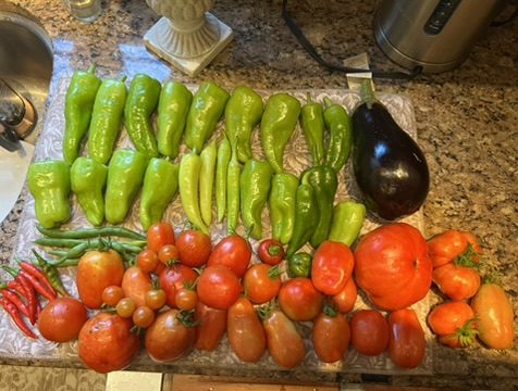 564BD70C-9905-4F7D-A55A-22BEDC709267_4_5005_c