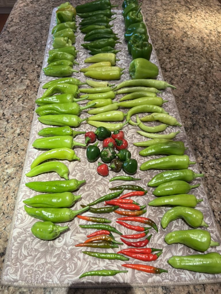 5658CAD2-D03F-417D-BC0A-E57126871AAE_1_105_c