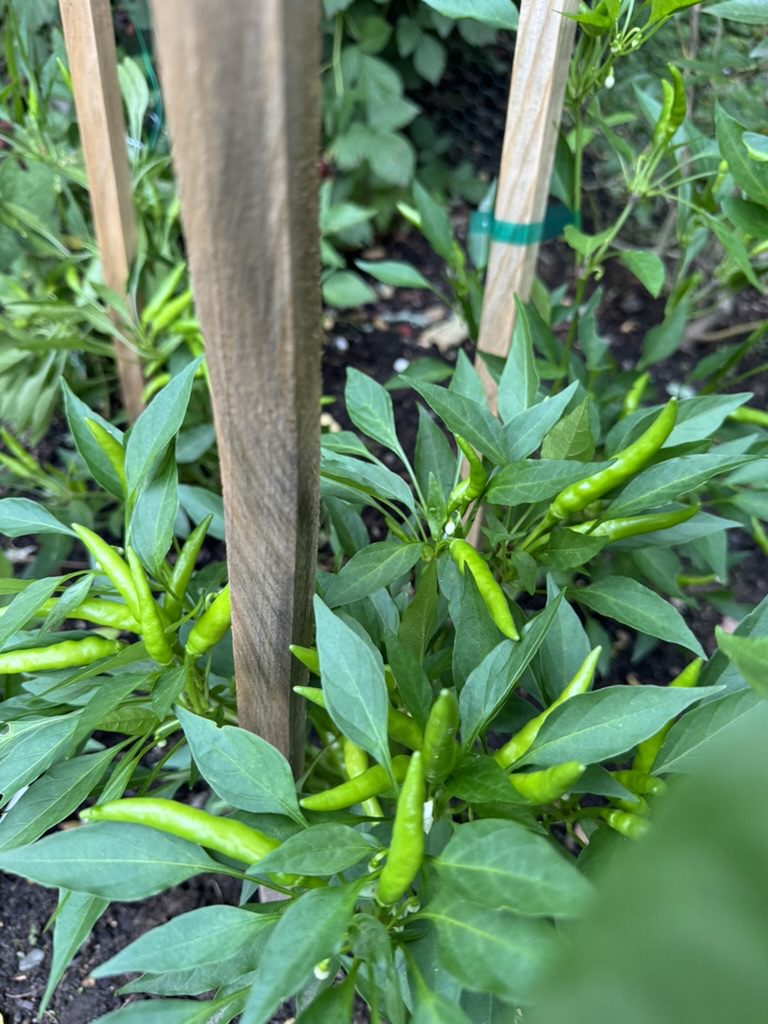 5690656E-EF29-4FE9-AF5F-BDAEBF698965_1_105_c