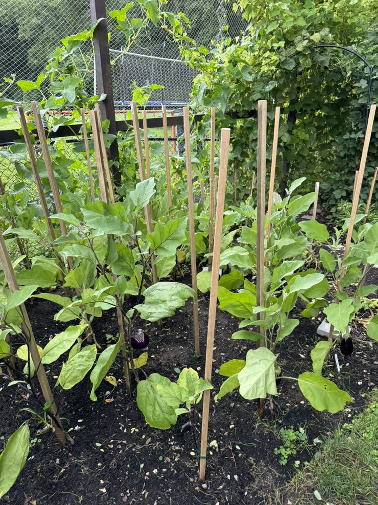 5857CC6A-26A9-4BBF-914A-17C7B1096EEA_1_105_c