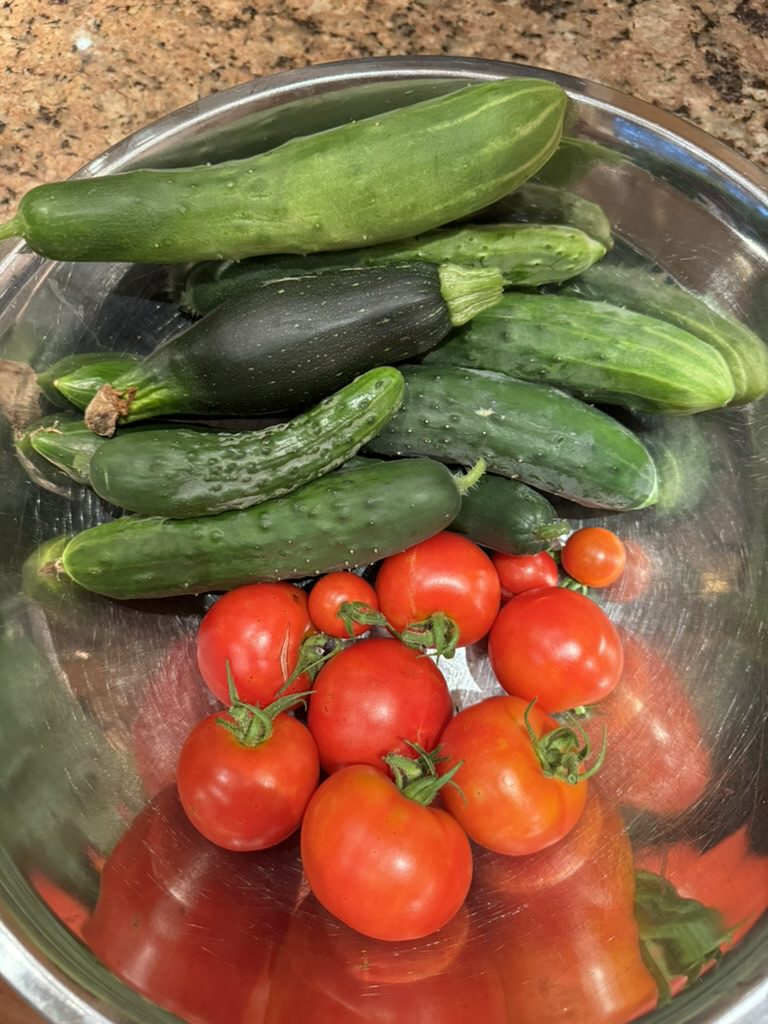 599DE52F-AE7E-45F0-B320-119845D4082B_1_105_c