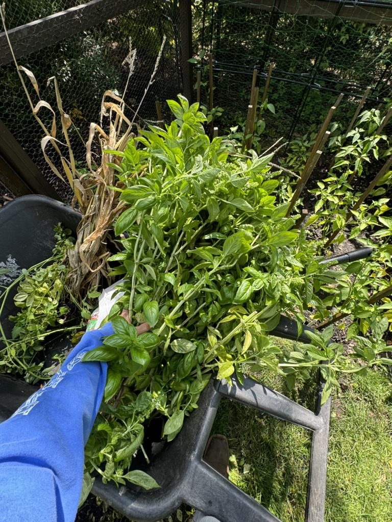 5A5565D4-DD82-43D7-B248-EFF8A11F4AB5_1_105_c