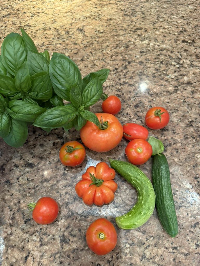 5C061E13-2568-4BE3-8691-8B896F4E66AE_1_105_c