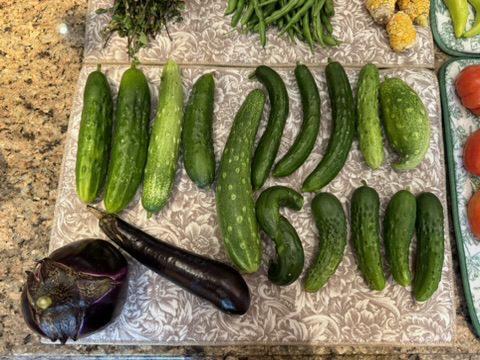 62C03D28-C136-43A7-8B2A-77B5B60C5CEB_4_5005_c