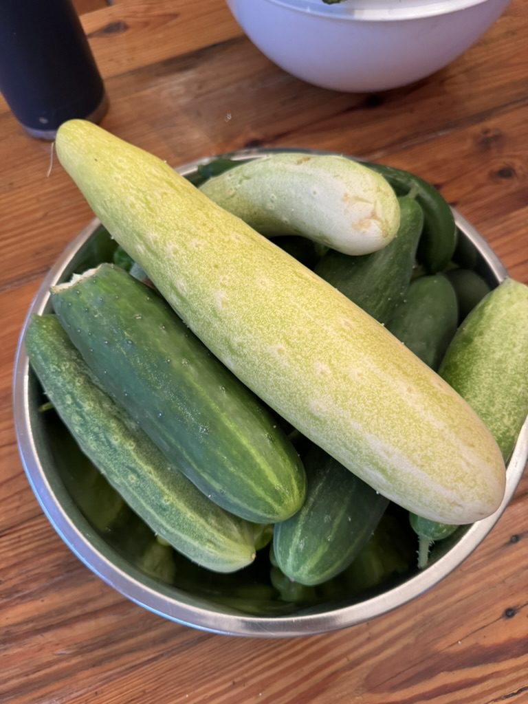 65A0E432-1CFF-486E-8C7C-63CD2CC2F206_1_105_c