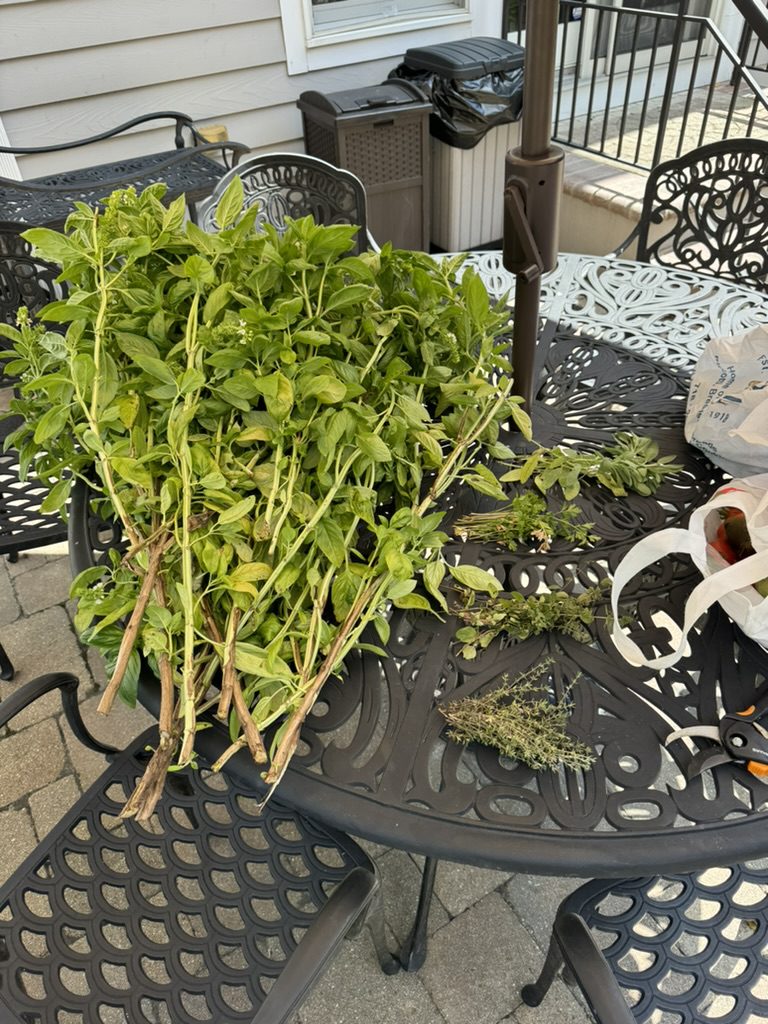 691FA449-E97B-4D7B-B16C-BB9138016765_1_105_c