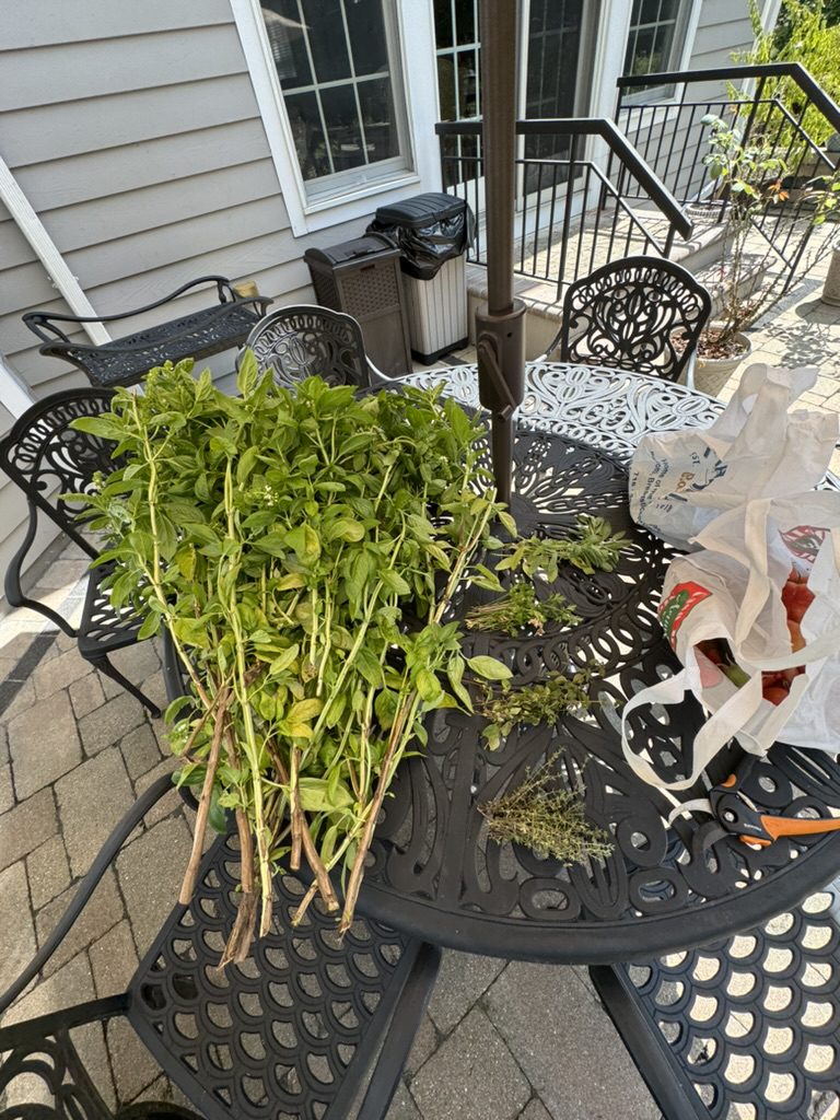 6943275F-F00E-41C9-BF83-E87F4C7309FA_1_105_c