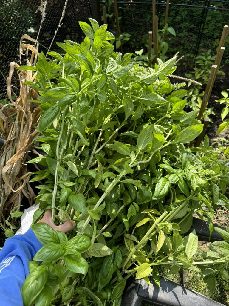 6A0CB780-73D2-457B-AC20-E2CFA15800E4_1_105_c