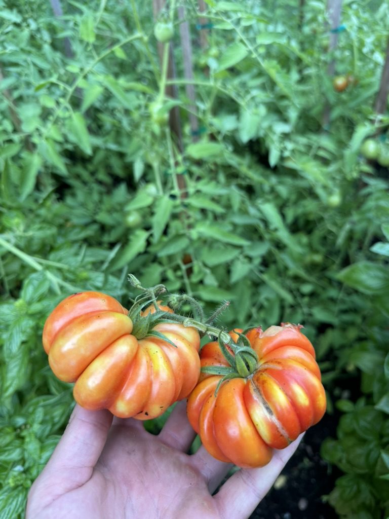 70A0EADA-3A4A-4A5E-B411-D575969844F2_1_105_c