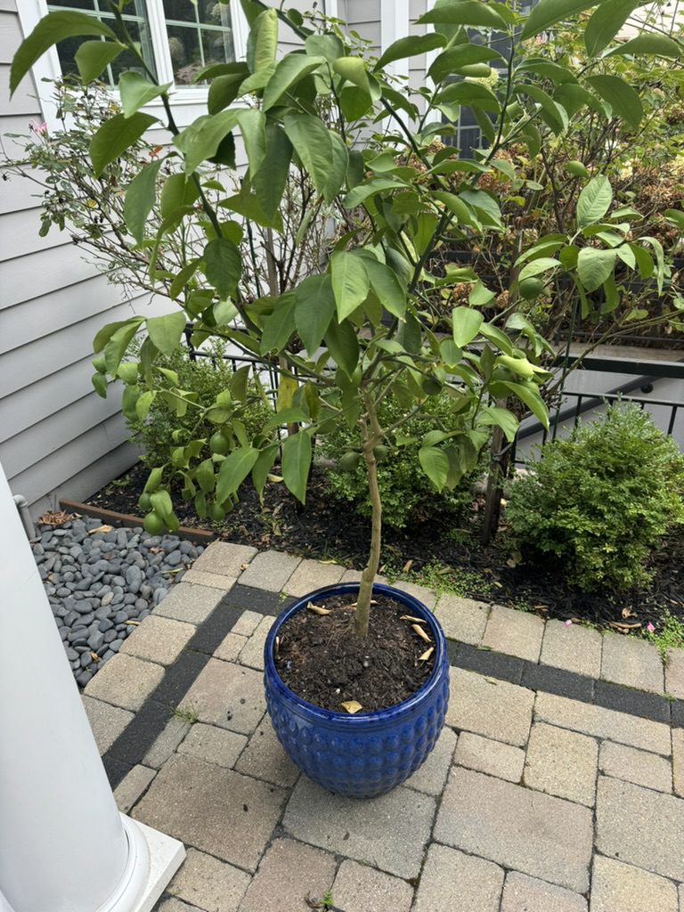 748FF703-3268-4D4D-80BC-E0DEC1662339_1_105_c