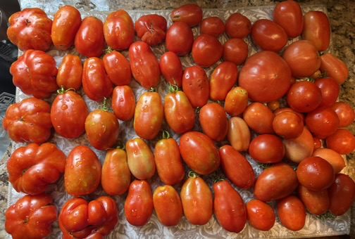 79C81D8C-3E4E-4641-B285-7258629C342F_4_5005_c