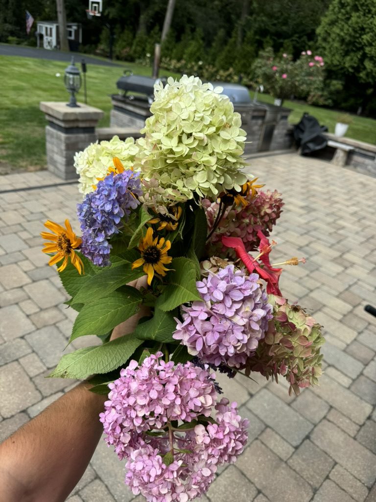 839B38C3-009F-4142-9847-B43A4EDD1CBA_1_105_c