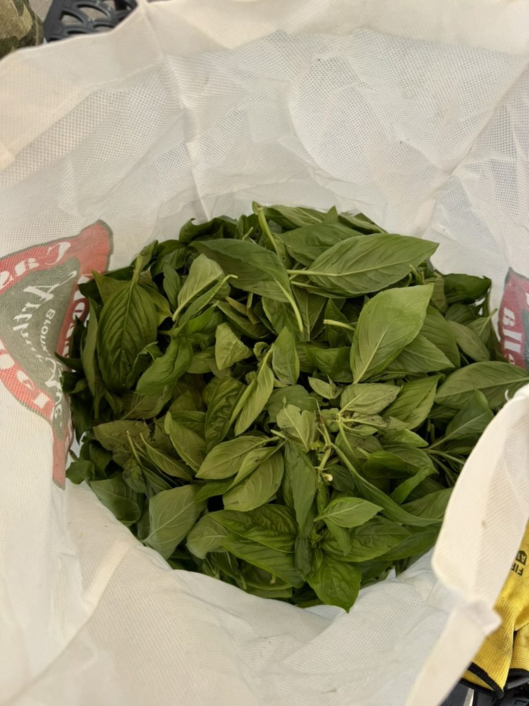 8550B013-4EA5-498B-A642-1E7C79767C44_1_105_c