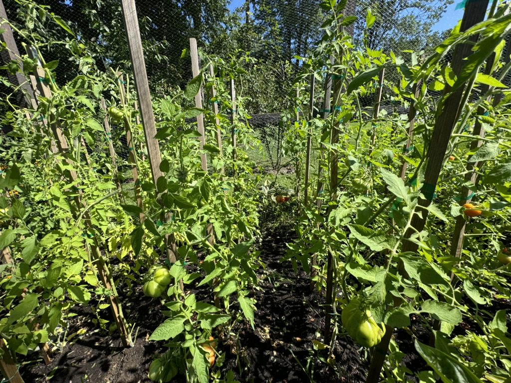 884EB921-9228-4C44-B892-3AEA66A1FC6D_1_105_c