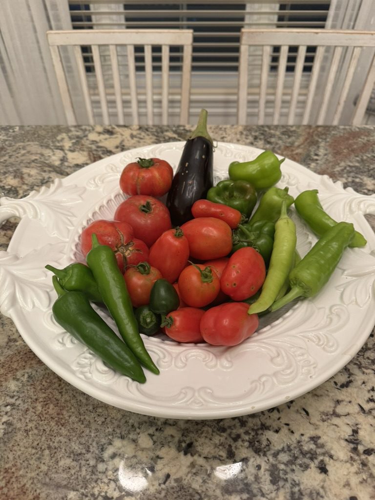 8CB06606-450D-4EE1-9F21-242226334F29_1_105_c