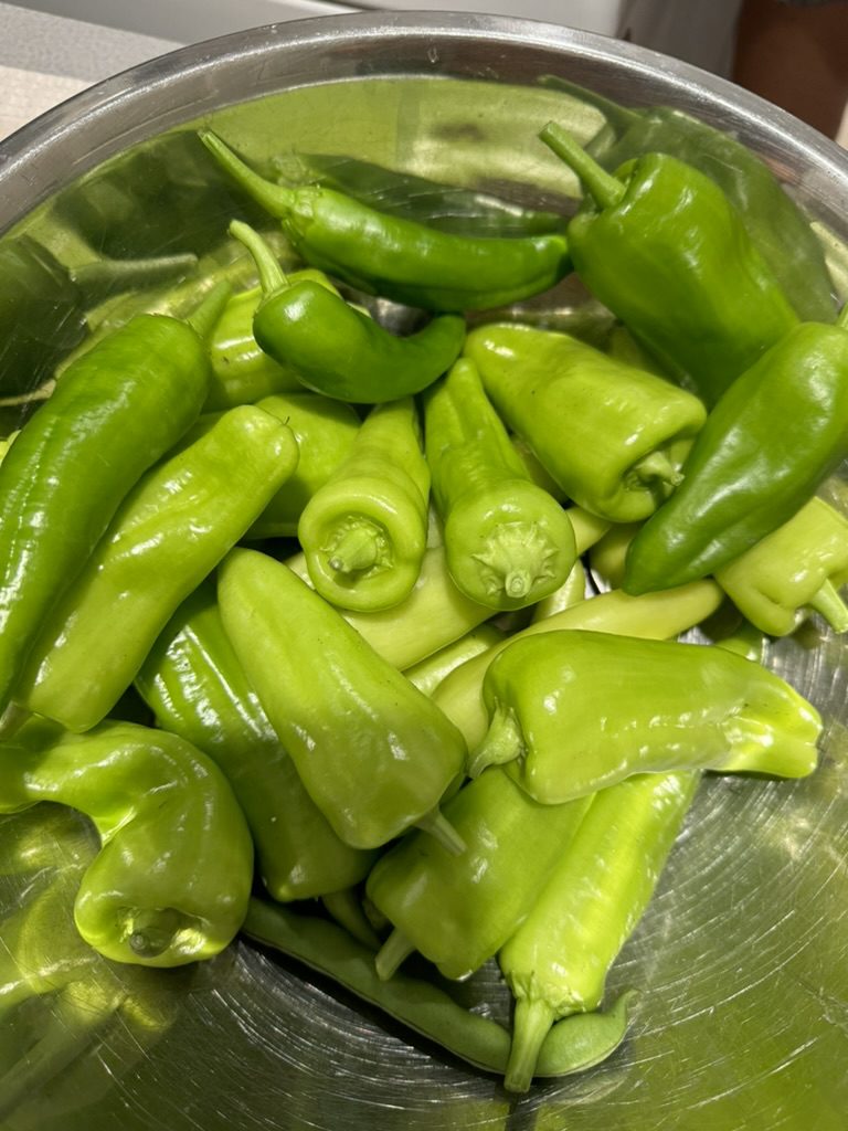 9A36BA60-9B99-41C9-87B4-D5FF3AE9BF56_1_105_c