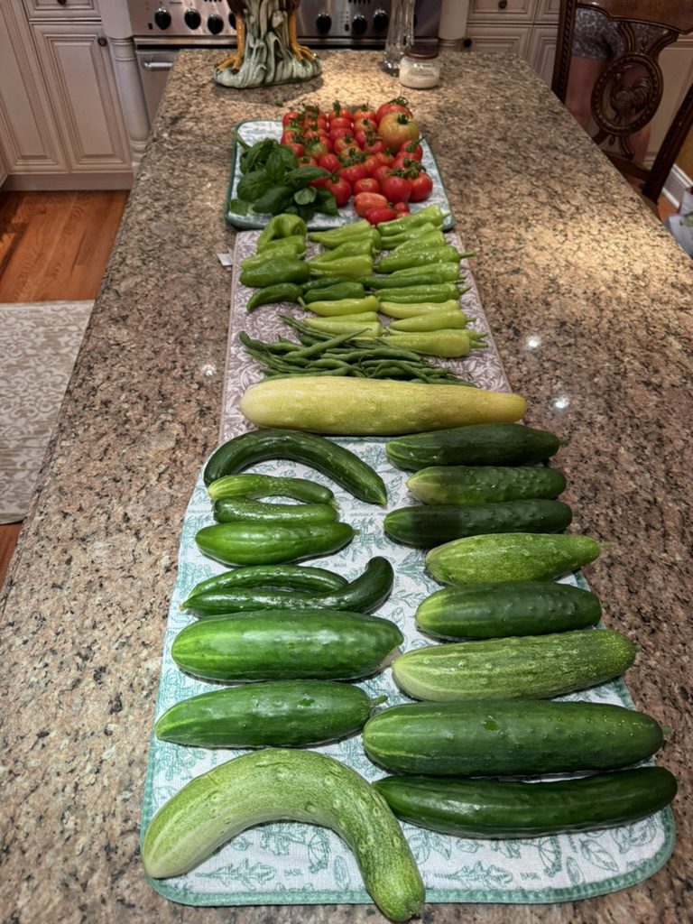 9BE5CFCA-4A26-4BBE-93E5-A9DF372C3EA0_1_105_c