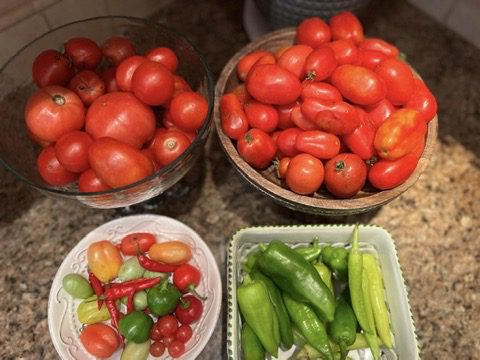 9D9D58CC-8076-48A2-A27B-D0649694F9CA_4_5005_c