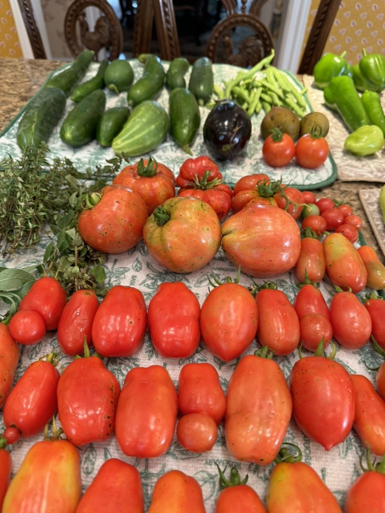 A6FC7765-547E-4A58-948D-10744101D269_1_105_c