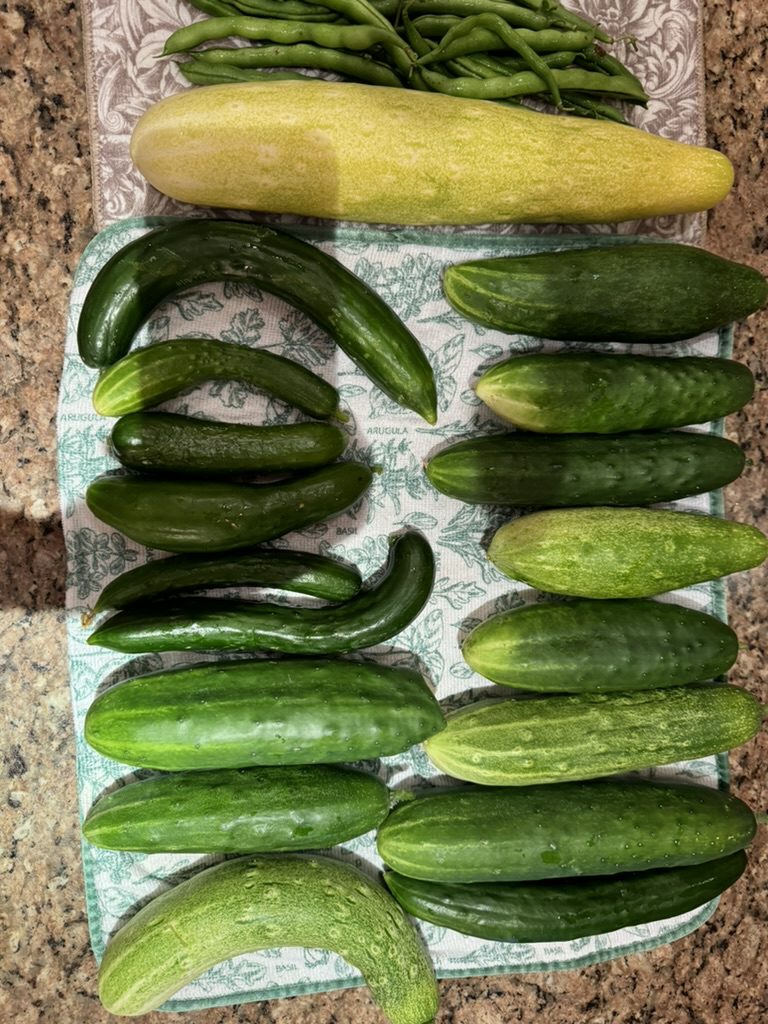 AAF1A873-E7FD-4F35-B48D-CADD998227A6_1_105_c