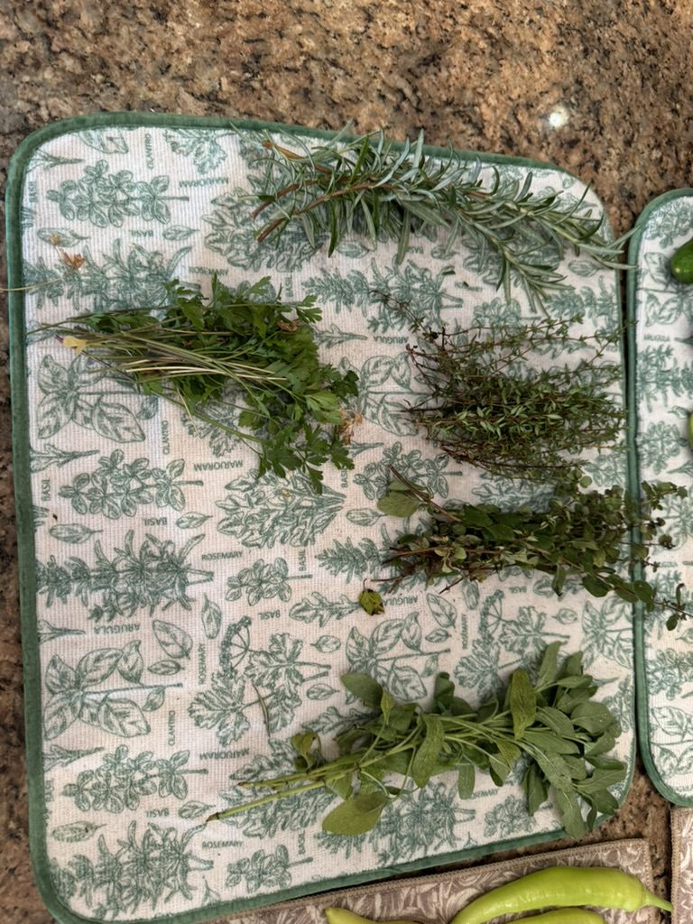 AB098863-4D14-46D0-9518-B49E6DF5851A_1_105_c